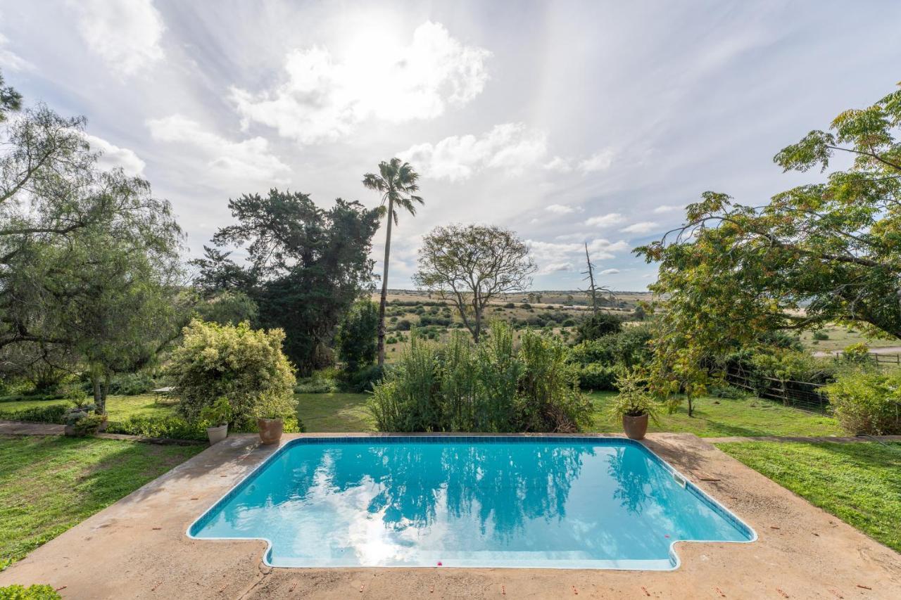 Tygerfontein Safari Villa Amakhala Game Reserve Ngoại thất bức ảnh